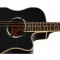 قیمت خرید فروش گیتار آکوستیک Yamaha APX500 III BL